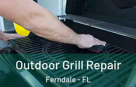 Outdoor Grill Repair Ferndale - FL