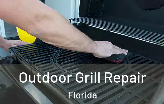  Outdoor Grill Repair Florida