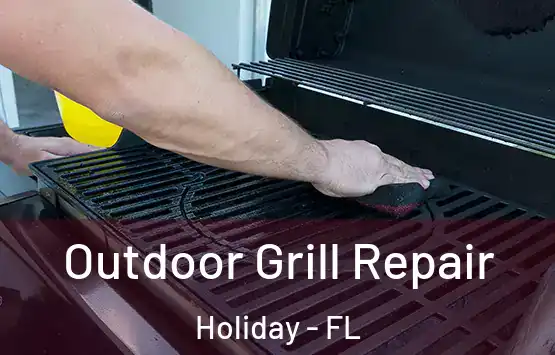  Outdoor Grill Repair Holiday - FL