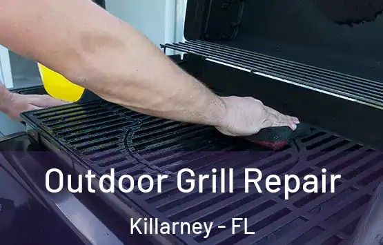  Outdoor Grill Repair Killarney - FL