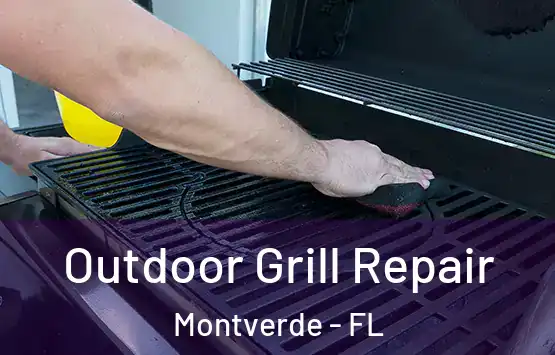  Outdoor Grill Repair Montverde - FL