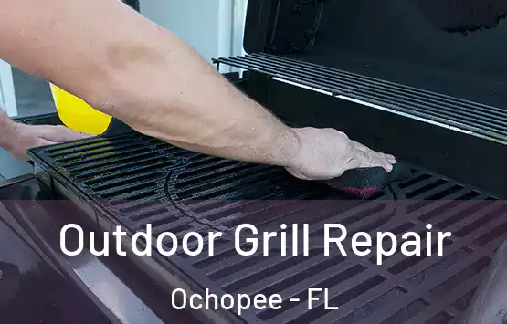  Outdoor Grill Repair Ochopee - FL