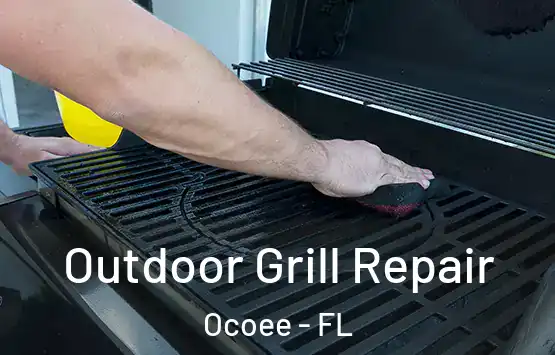  Outdoor Grill Repair Ocoee - FL