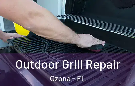  Outdoor Grill Repair Ozona - FL
