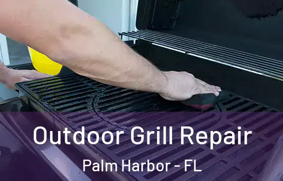  Outdoor Grill Repair Palm Harbor - FL