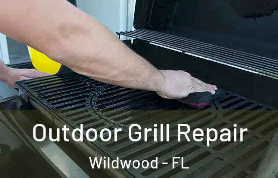  Outdoor Grill Repair Wildwood - FL