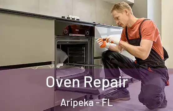 Oven Repair Aripeka - FL