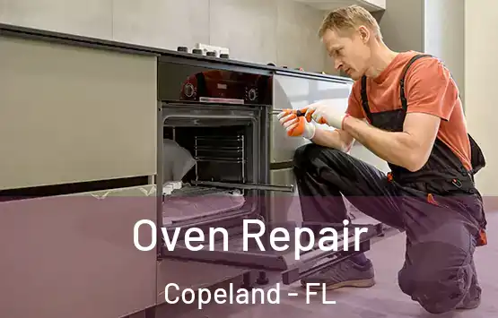  Oven Repair Copeland - FL