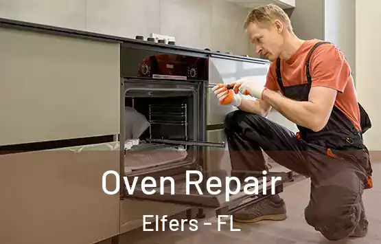  Oven Repair Elfers - FL