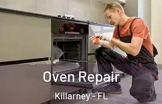  Oven Repair Killarney - FL
