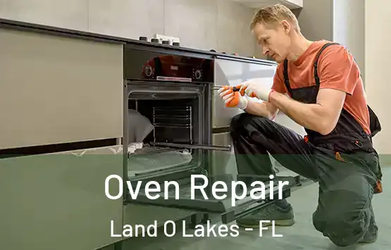 Oven Repair Land O Lakes - FL