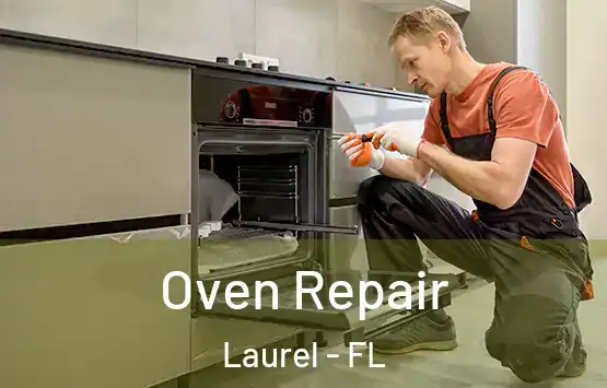  Oven Repair Laurel - FL