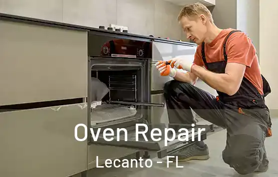 Oven Repair Lecanto - FL