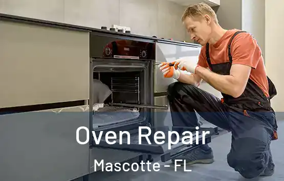  Oven Repair Mascotte - FL