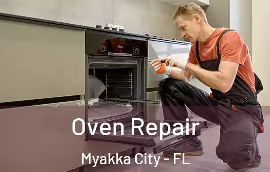  Oven Repair Myakka City - FL