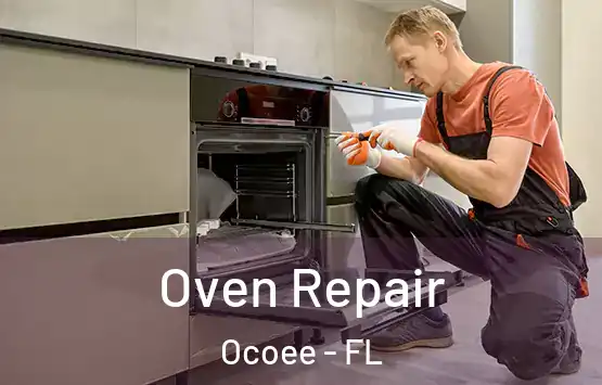  Oven Repair Ocoee - FL