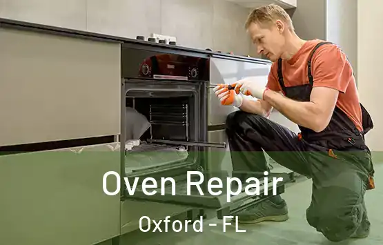  Oven Repair Oxford - FL