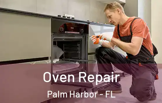  Oven Repair Palm Harbor - FL