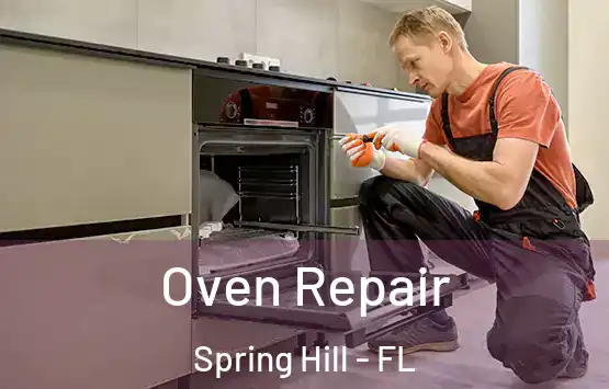 Oven Repair Spring Hill - FL