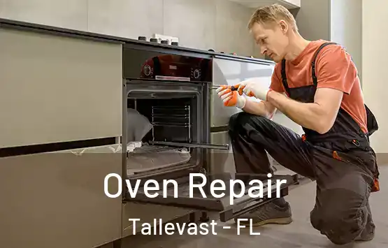  Oven Repair Tallevast - FL