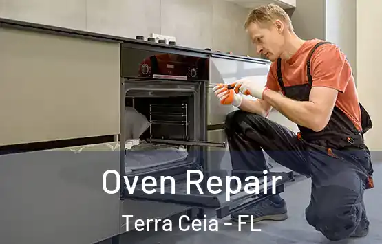  Oven Repair Terra Ceia - FL