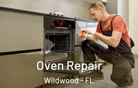  Oven Repair Wildwood - FL