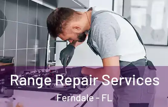  Range Repair Services Ferndale - FL