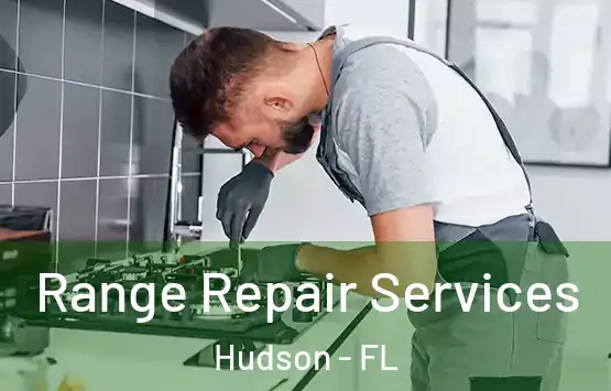  Range Repair Services Hudson - FL