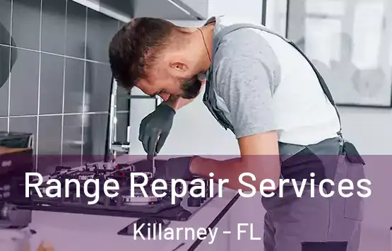  Range Repair Services Killarney - FL