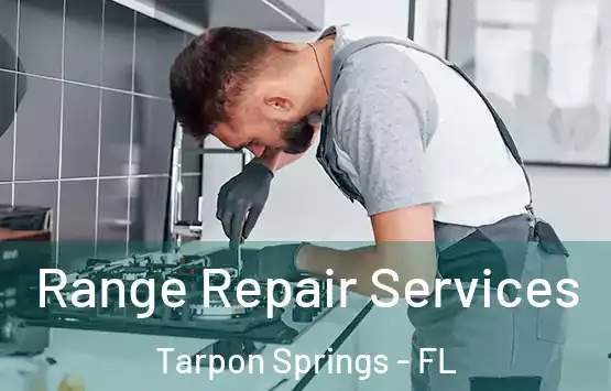  Range Repair Services Tarpon Springs - FL