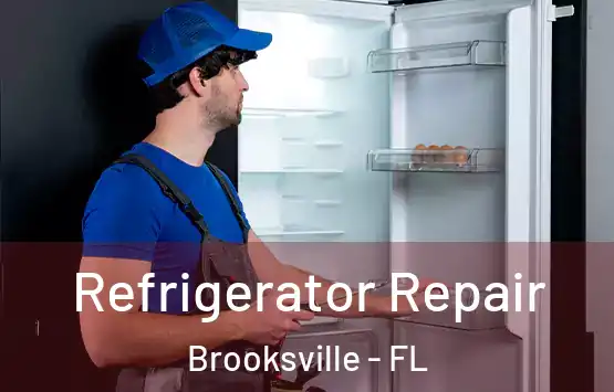  Refrigerator Repair Brooksville - FL