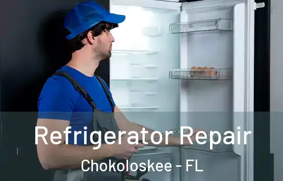  Refrigerator Repair Chokoloskee - FL