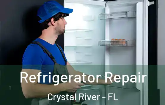  Refrigerator Repair Crystal River - FL