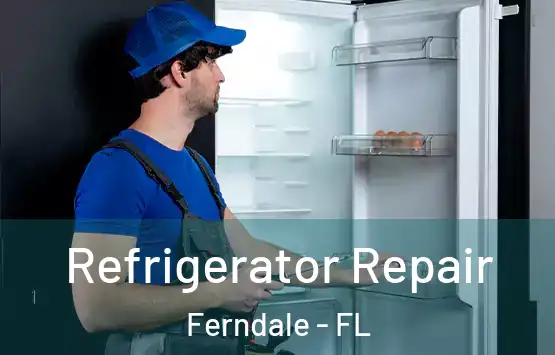  Refrigerator Repair Ferndale - FL