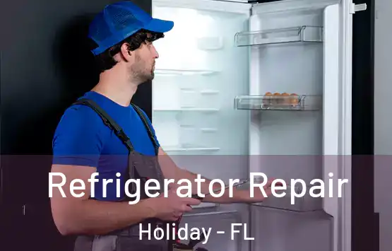  Refrigerator Repair Holiday - FL