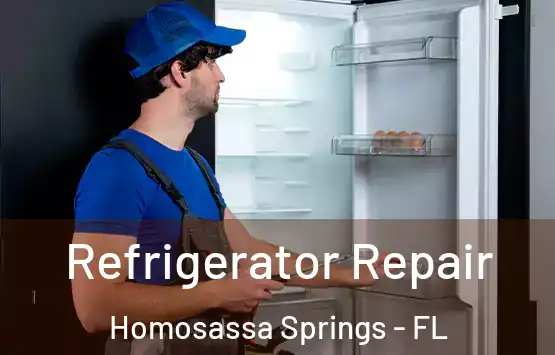  Refrigerator Repair Homosassa Springs - FL