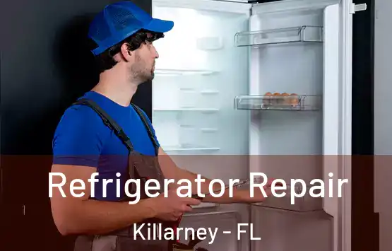  Refrigerator Repair Killarney - FL
