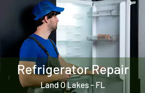  Refrigerator Repair Land O Lakes - FL