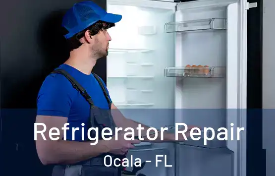  Refrigerator Repair Ocala - FL
