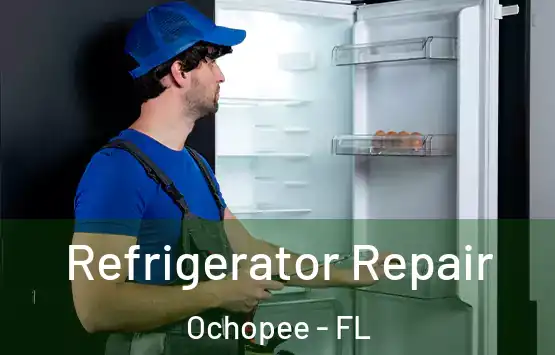  Refrigerator Repair Ochopee - FL