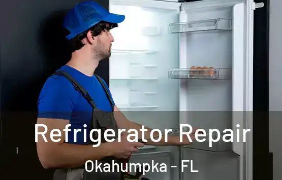  Refrigerator Repair Okahumpka - FL