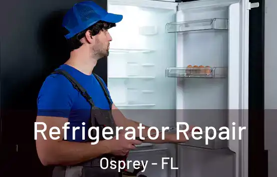  Refrigerator Repair Osprey - FL