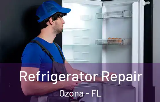  Refrigerator Repair Ozona - FL