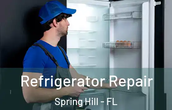  Refrigerator Repair Spring Hill - FL