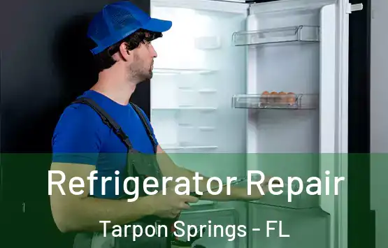  Refrigerator Repair Tarpon Springs - FL