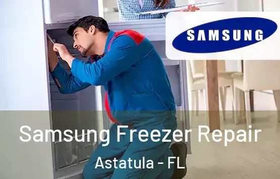  Samsung Freezer Repair Astatula - FL