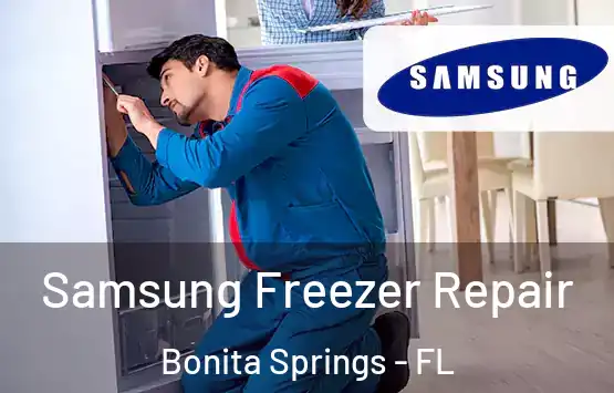  Samsung Freezer Repair Bonita Springs - FL
