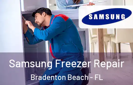  Samsung Freezer Repair Bradenton Beach - FL