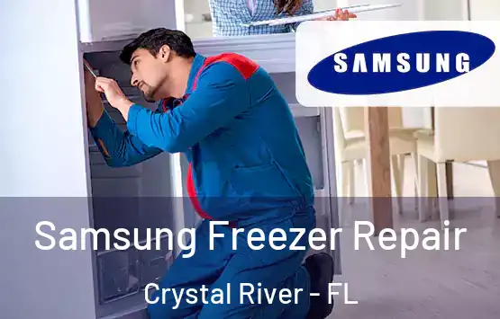  Samsung Freezer Repair Crystal River - FL