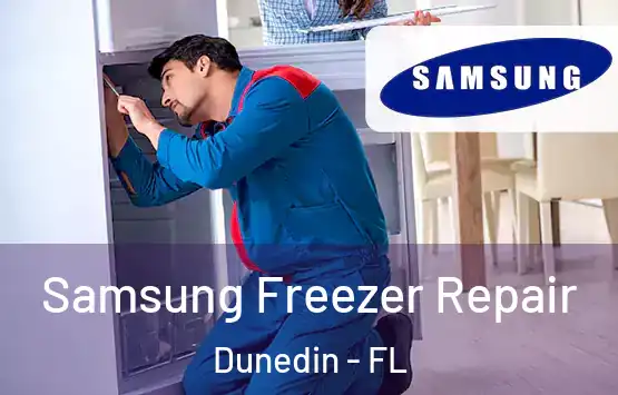  Samsung Freezer Repair Dunedin - FL